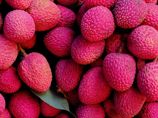 Kaimana Lychee