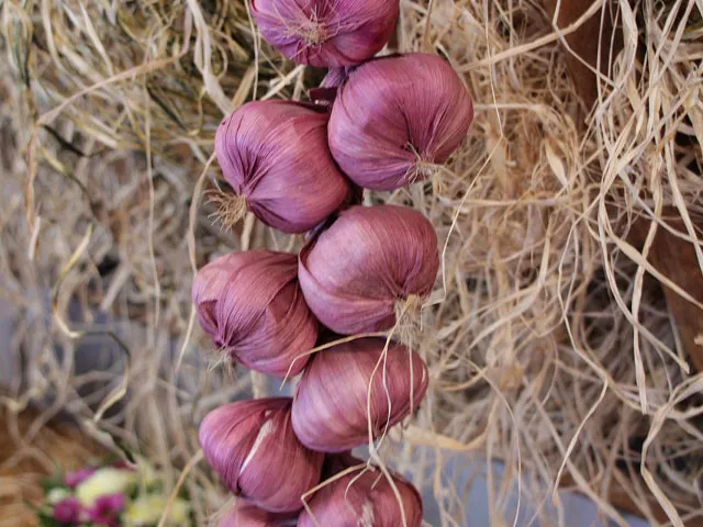 Pickled Sweet Garlic Cloves