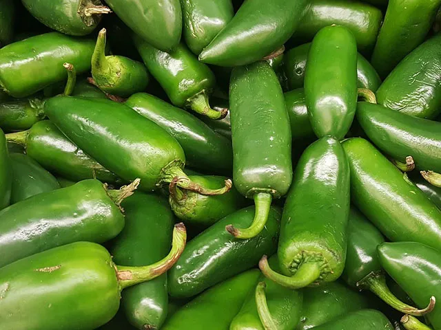 JALAPENO Green Chili Olive