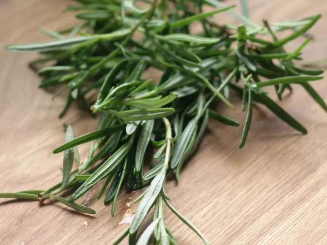 Rosemary